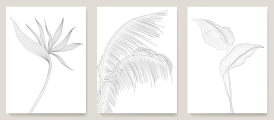 Wall Mural - botanical art set with black and white tropical leaves and flowers hand drawn in line style. vector 