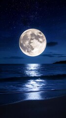 Wall Mural - spectacular full moon above a dark sea illuminating a shiny reflection at twilight with a starry nig
