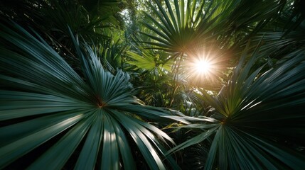 Poster - Bright rays of sunlight break through lush palm fronds in a tropical setting, creating a serene atmosphere. This tranquil moment showcases nature's beauty at dawn