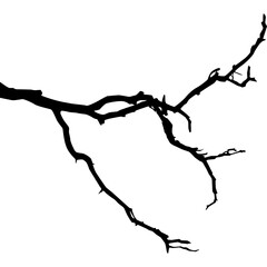 Halloween Branch Silhouette