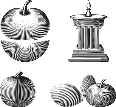 set of stylized fruit illustrations including a halved and a column-like structure.
