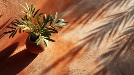 Fototapete - A terracotta surface glows warmly in summer light, featuring a small potted plant. The play of sunlight creates gentle shadows that enhance the serene atmosphere