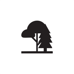 Wall Mural - silhouette of a tall evergreen tree stands against a bright sky.