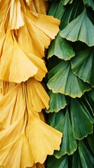 Fototapete - Yellow and green ginkgo leaf texture pattern illustration poster background