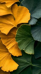 Fototapete - Yellow and green ginkgo leaf texture pattern illustration poster background