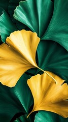Fototapete - Yellow and green ginkgo leaf texture pattern illustration poster background