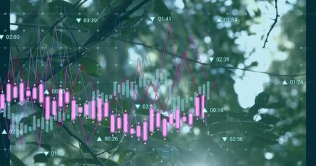 Poster - Sunlit leaves revealing grid, pink bars and lines growing, shortening, illustrating trend shifts