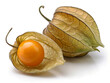 © MST BEGOM - Physalis Cape Gooseberry with Sliced Half on White Background – Orange Berry with Husk