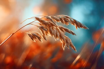 Poster - A single stalk of grass with a few leaves on it