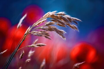 Poster - A field of red flowers with a single stalk of grass in the foreground