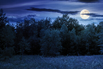 Wall Mural - landscape with forest on the hill in summer at night. scenic view of blooming alpine pasture in full