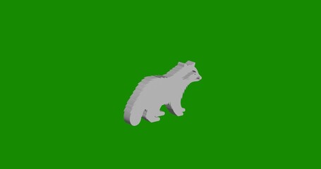 Poster - Isolated realistic white raccoon symbol front view with shadow. 3d illustration on green chroma key background