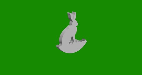 Poster - Isolated realistic white hare symbol front view with shadow. 3d illustration on green chroma key background