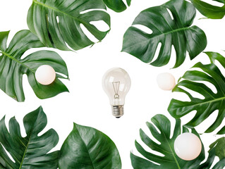 Poster - Tropical foliage and light bulb, representing a sustainable innovation concept