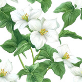2d illustration of a tileable pattern of amaryllis isolated on a white transparent background