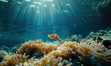 Clownfish swimming among colorful anemone tentacles in vibrant coral reef environment underwater perspective