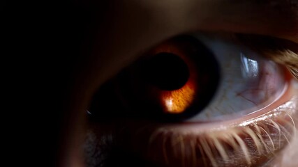 Poster - Close-up of a human eye, showcasing intricate details of iris, pupil, and eyelashes.