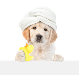 Fototapete - Cute golden retriever puppy with towel on it head looking above blank white banner and holding rubber duck. isolated on white background