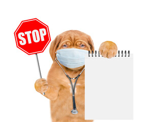 Poster - Mastiff puppy dressed like a doctor with protective mask and  stethoscope  holds blank notebook and shows stop sign. Isolated on white background