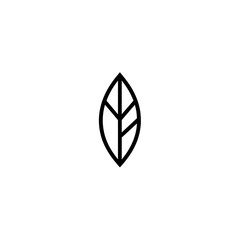 Poster - Minimalist leaf displays simple botany on clean background closeup