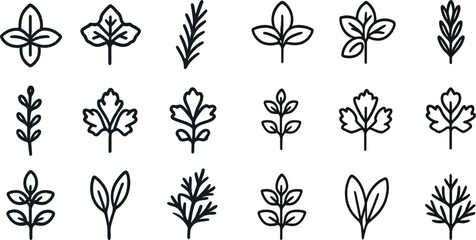 Poster - Minimalist botanical leaf icons set for design and decoration projects