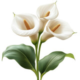 Elegant floral arrangement featuring three white calla lilies with lush green leaves