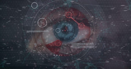 Poster - Image of data processing over eye