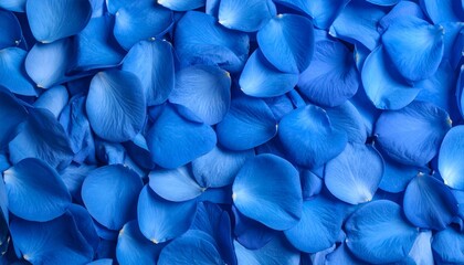Wall Mural - closeup macro shows a textured blue feather pattern with a soft, nature-inspired design