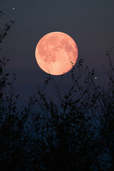 Canvas Print - full moon, stars, planets and landscape scenery silhouettes.