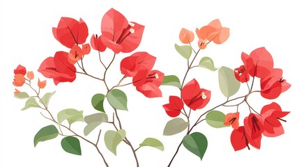 Aufkleber - 赤いブーゲンビリアの花が白い背景に咲いています緑の葉と茶色の枝鮮やかな赤色の花のクローズアップ