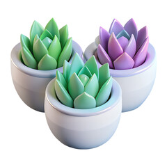 Poster - Three colorful 3d rendered succulent plants in white pots rendered in a modern plastic-style design against a transparent background.