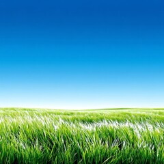 Aufkleber - Vibrant green grass field stretching under a vast and clear blue sky, a serene and peaceful nature scene.