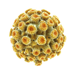 Poster - Detailed view of a virus structure showcasing spikes and surface textures under magnification