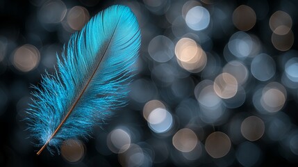 Poster - Blue feather on dark background with bokeh lights