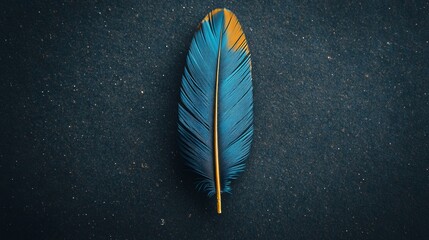 Poster - Single feather on dark background, serene and mysterious