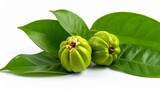 Fresh garcinia atroviridis fruit isolated white background