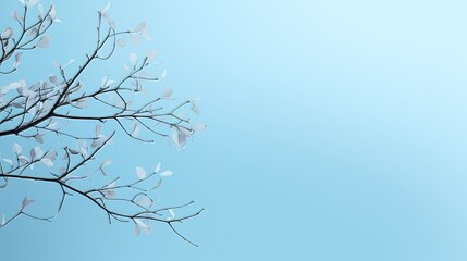 Poster - Simple light blue background with delicate shadows from tree branches, perfect for showing off products.
