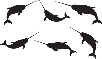 Fototapete - Narwhal Silhouette Collection on Black Backdrop: Arctic Marine Mammals, Tusked Whales, Graphic Elements for Wildlife and Ocean Themes