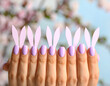 © Diana - Lavender Bunny Nail Art Cute Easter Manicure Design Ideas