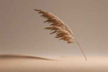 Poster - Soft light enhances the beauty of a solitary grass stem against a smooth, sandy background in a minimalist setting