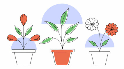Poster - Vector Beautiful potted plants with vibrant flowers and leaves in minimalist style