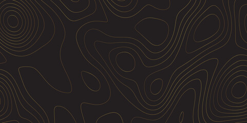 Poster - Abstract white on golden background Topographic line map pattern. Contour elevation topographic and textured Background Modern design with black background with topographic wavy patted.	