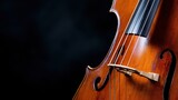 A close-up view of a cello's neck and strings against a black background.