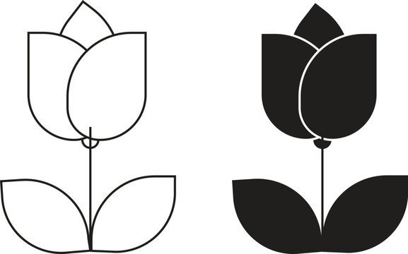 vector set of black and white flowers