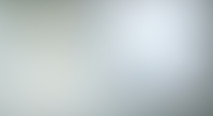 Soft, muted gray background (1)
