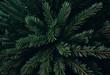 © artlover121 - Rich, dark green pine needles and branches create a dense, natural abstract pattern, perfect for backgrounds. Christmas tree