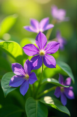 Poster - A bouquet of purple flowers with green leaves, perfect for decoration or as a symbol of gratitude
