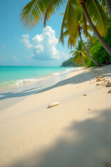 Fototapete - A serene image of a sandy beach lined with palm trees and calm blue water, perfect for travel or vacation themes
