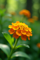 Poster - A close-up shot of an orange flower with green leaves, great for botanical or nature-themed uses