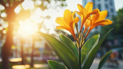 Aufkleber - Yellow flower with a green stem is in the foreground of a sunny day. The flower is surrounded by a green leafy stem and is in the middle of a park